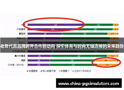 老詹代言品牌跨界合作新动向 探索体育与时尚无缝连接的未来趋势