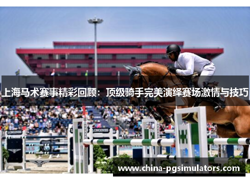上海马术赛事精彩回顾：顶级骑手完美演绎赛场激情与技巧