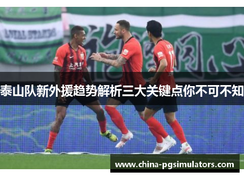 泰山队新外援趋势解析三大关键点你不可不知