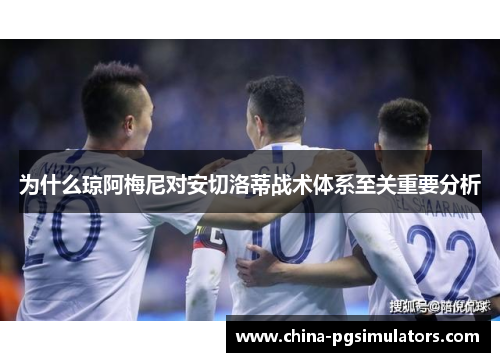 为什么琼阿梅尼对安切洛蒂战术体系至关重要分析