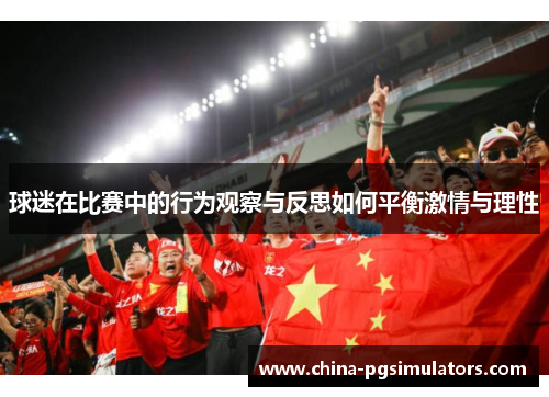 球迷在比赛中的行为观察与反思如何平衡激情与理性