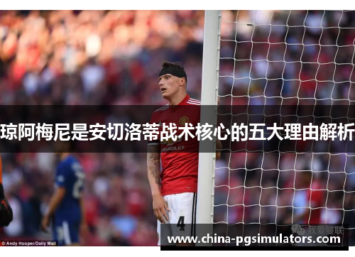 琼阿梅尼是安切洛蒂战术核心的五大理由解析
