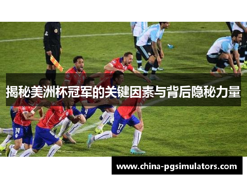 揭秘美洲杯冠军的关键因素与背后隐秘力量