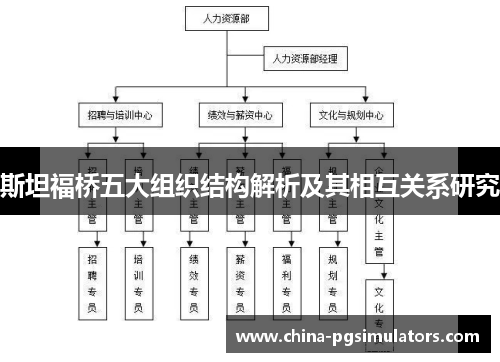 斯坦福桥五大组织结构解析及其相互关系研究