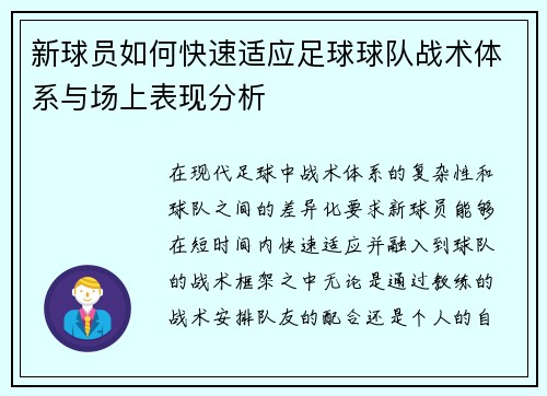 新球员如何快速适应足球球队战术体系与场上表现分析